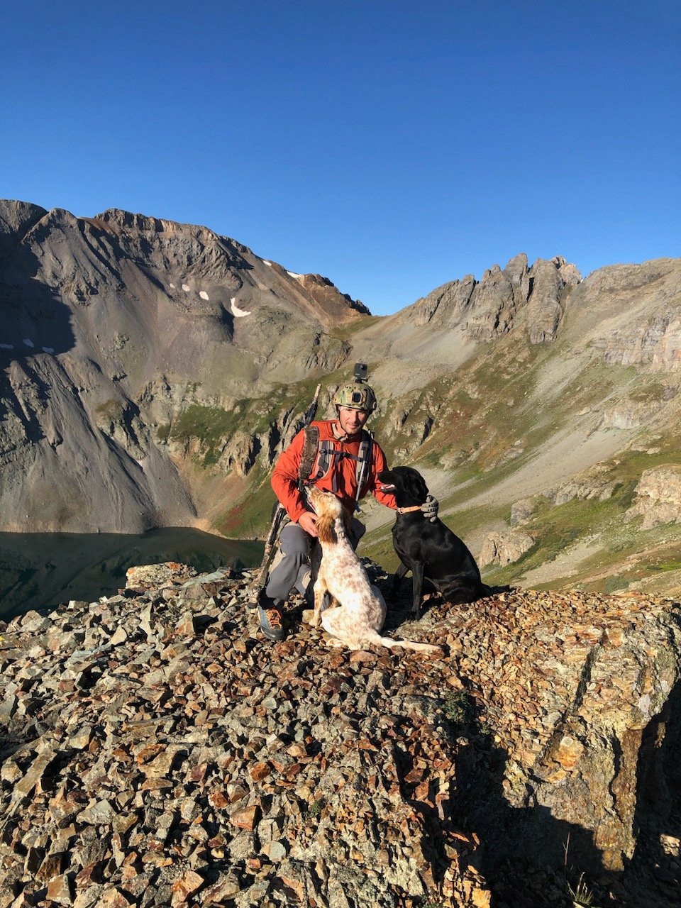 Dusky Grouse in the Rockies