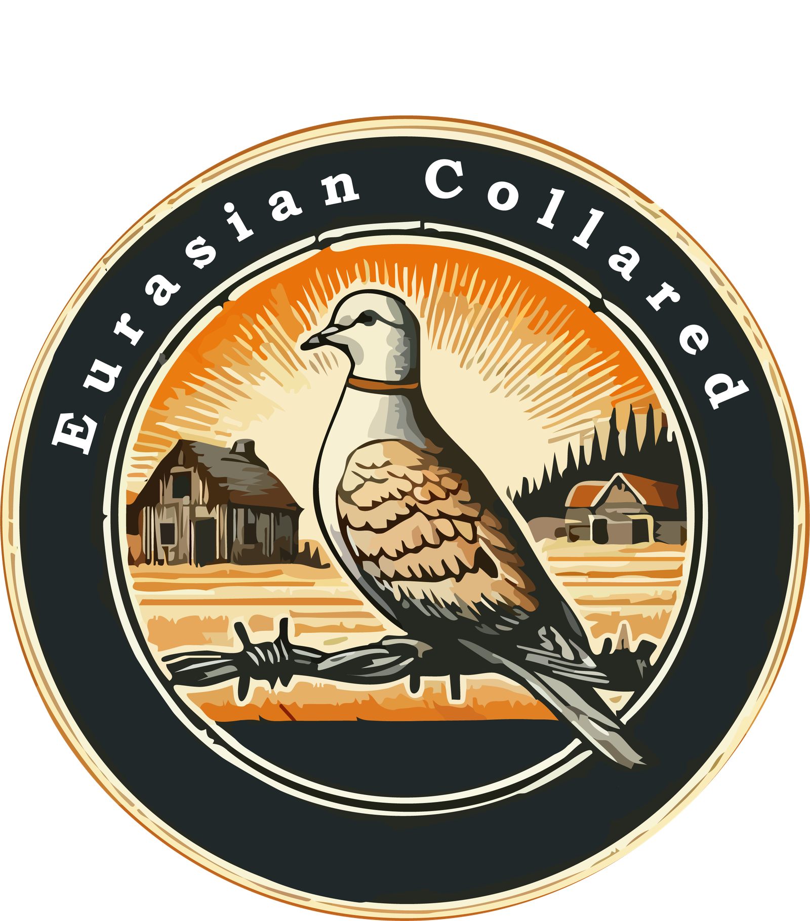 Featured Competition